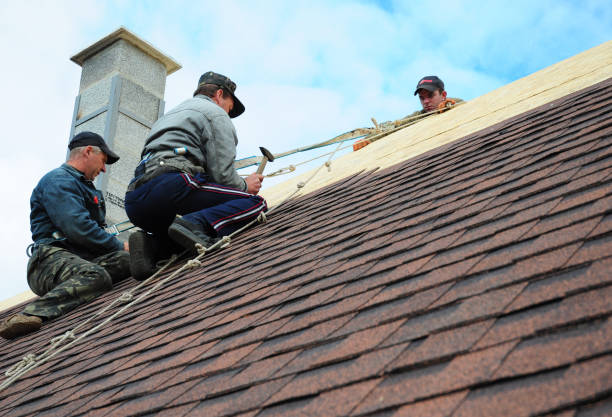 Roof Gutter Cleaning in Deland, FL